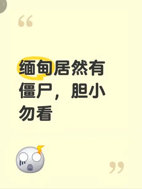高清视频《缅甸僵尸出土事件》现场全程录像揭秘 - 缅北僵尸出土事件真相《缅甸僵尸出土事件》无删减完整版在线播放