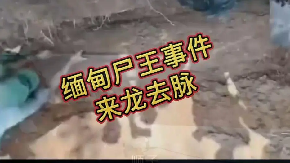 《缅甸僵尸出土事件视频》完整版资源在线观看免费播放-超清未删减全程录像-缅北僵尸出土事件始末原视频高清下载